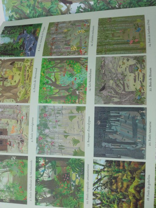 Forêts enchantées, stickerthérapie