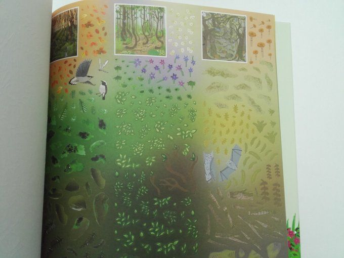 Forêts enchantées, stickerthérapie