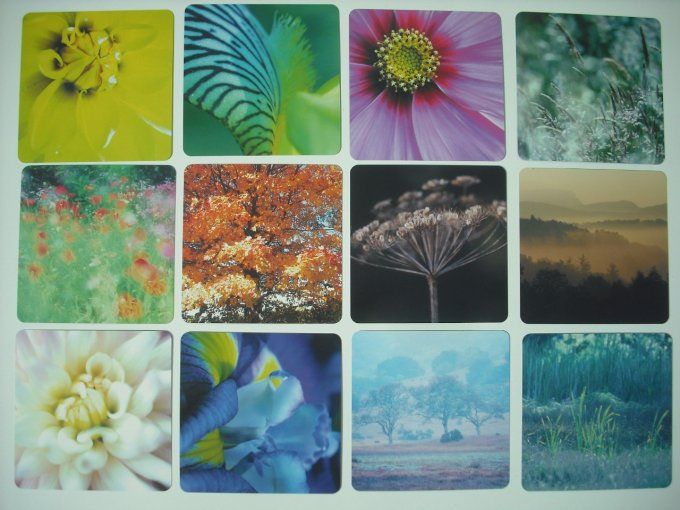 52 cartes pour inspirer et diriger votre Vie