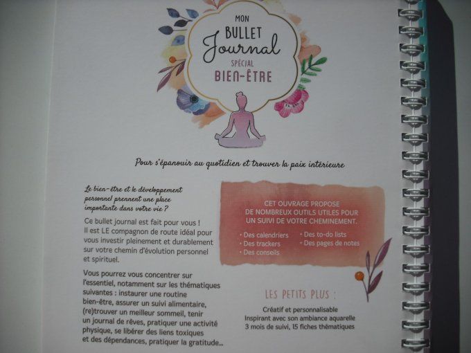 Mon bullet journal spécial bien-être
