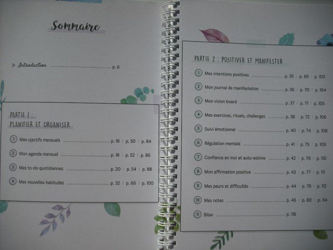 Mon bullet journal pour atteindre mes objectifs et réaliser mes rêves