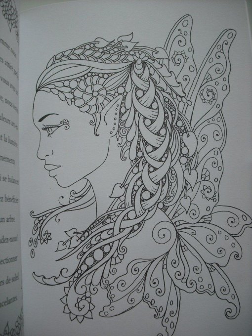 Messages des Fées - Copie