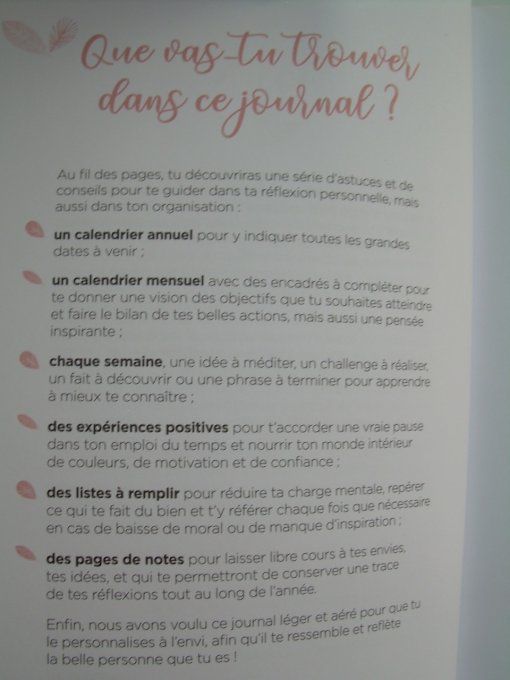 Mon bullet journal