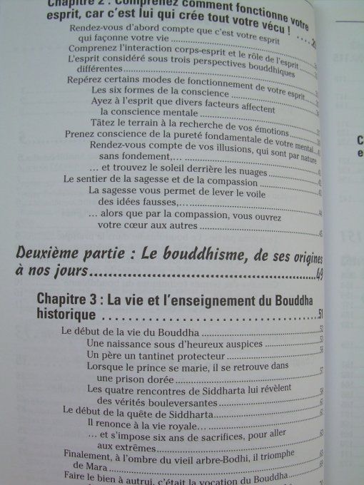 Le Bouddhisme pour les nuls