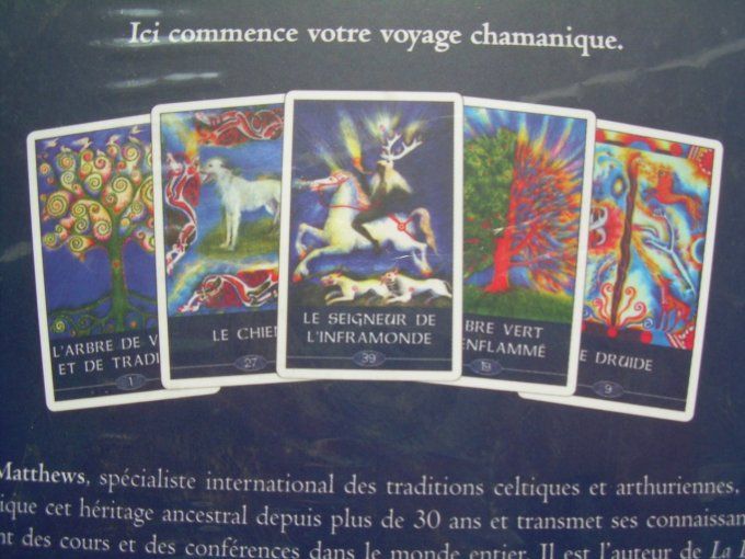 L'oracle du Chamane Celte