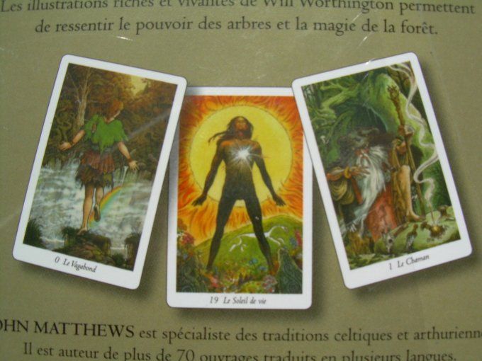Le tarot de la forêt enchantée