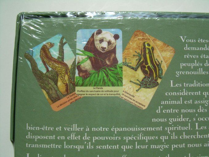 Chamanisme et messages d'animaux