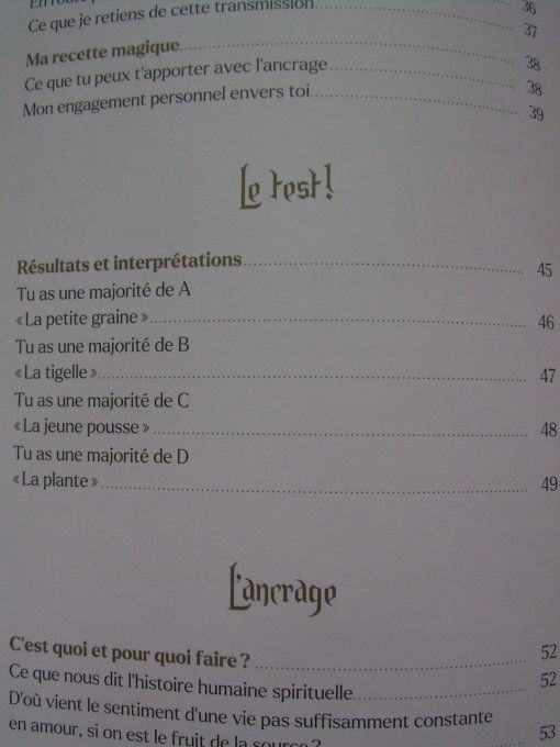 Ancrage. Mon cahier d'éveil spirituel