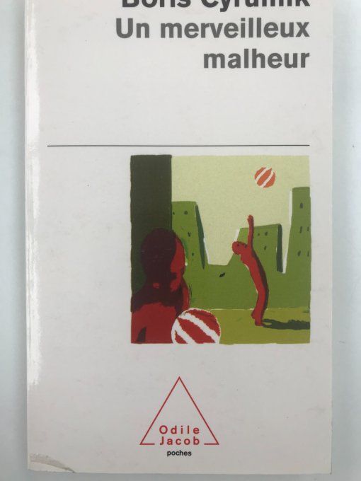 Un merveilleux malheur