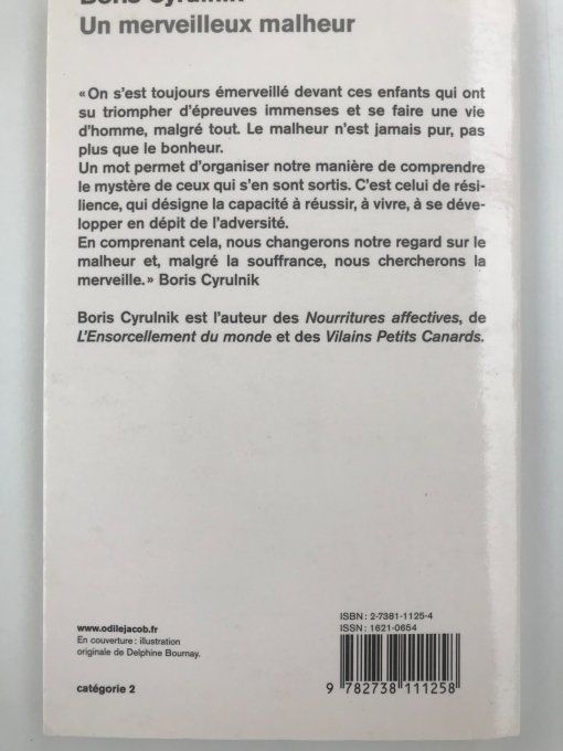 Un merveilleux malheur