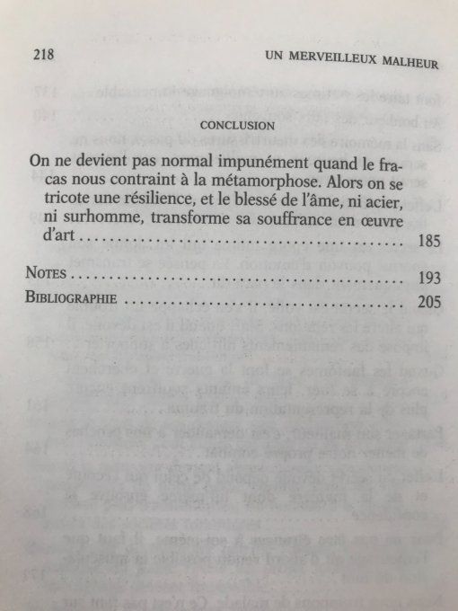 Un merveilleux malheur