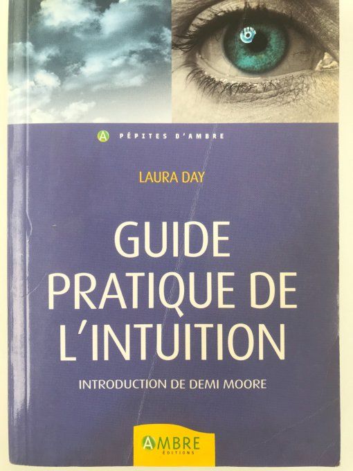 Guide pratique de l'intuition