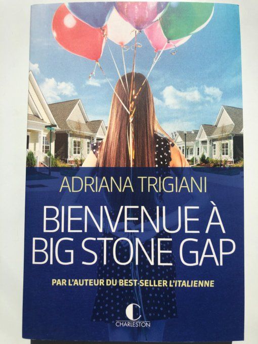 Bienvenue à big stone gap