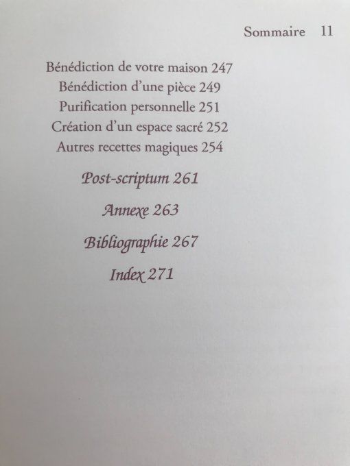 La Sorcière moderne au foyer
