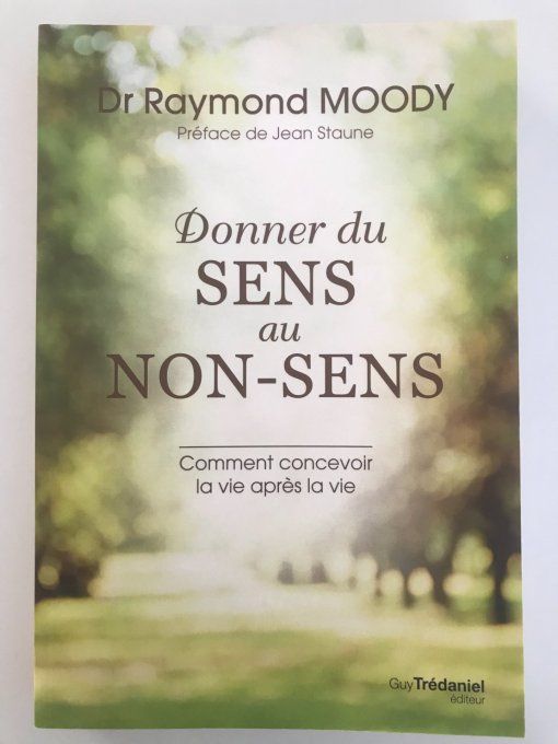 Donner du sens au non-sens