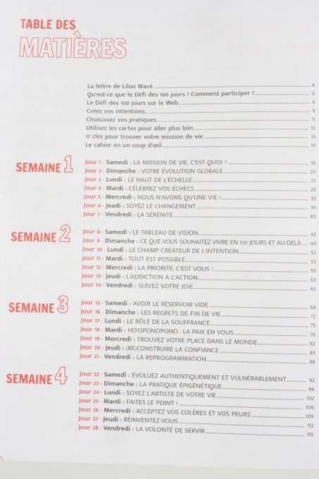 Le défi des 100 jours pour pour trouver sa mission de vie - Copie