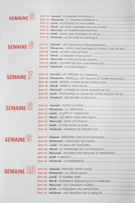 Le défi des 100 jours pour pour trouver sa mission de vie - Copie