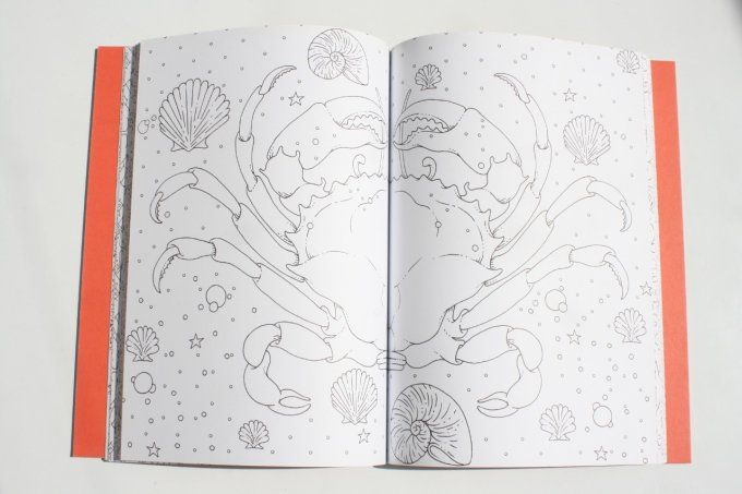 100 coloriages sous l'océan