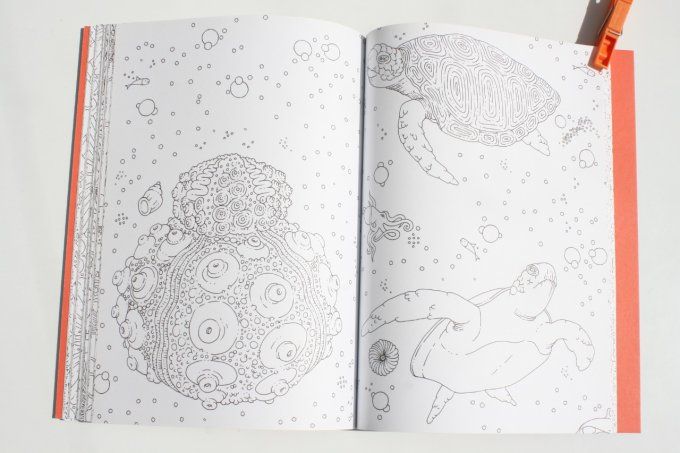 100 coloriages sous l'océan