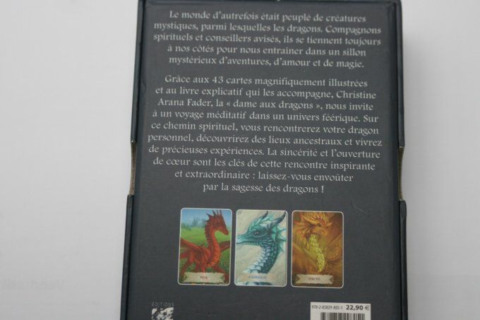 La sagesse des Dragons