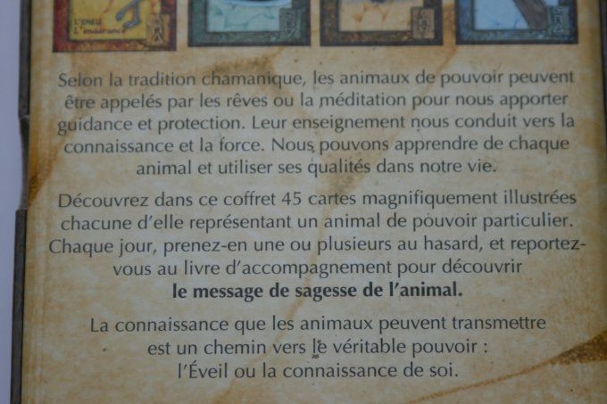Rêver de votre animal totem