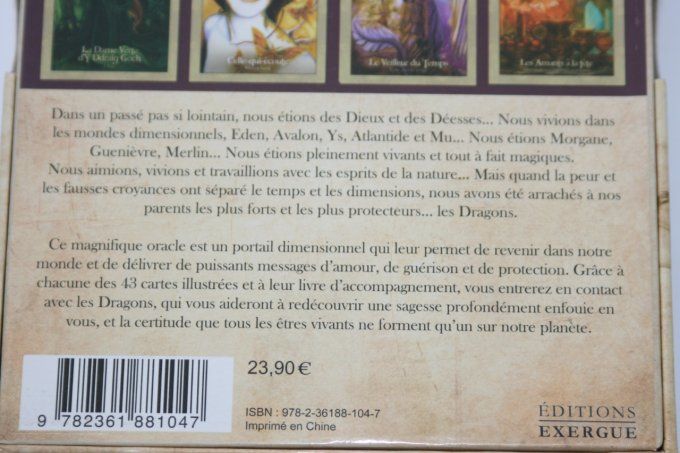 L'oracle des dragons protecteurs