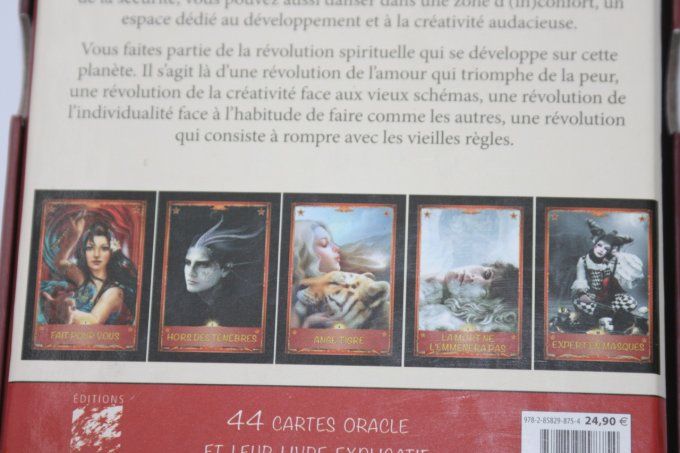 Le cirque divin