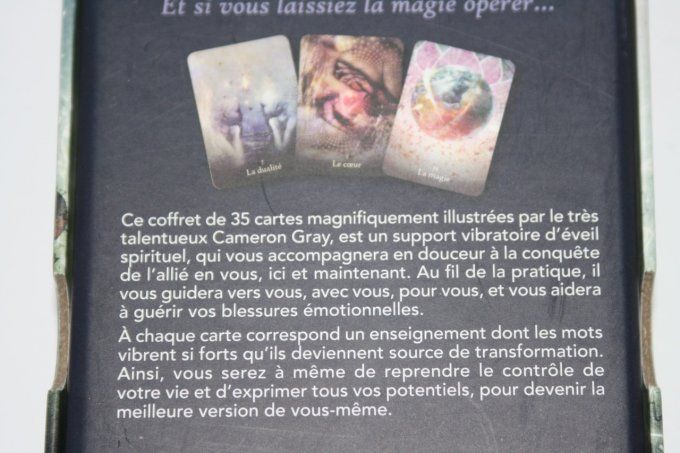 Les chemins de l'éveil