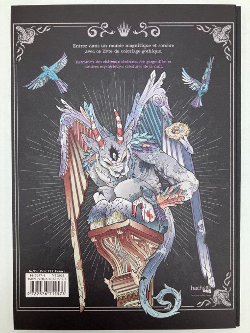 Gothica. Livre de coloriages mystérieux