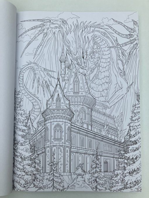 Gothica. Livre de coloriages mystérieux