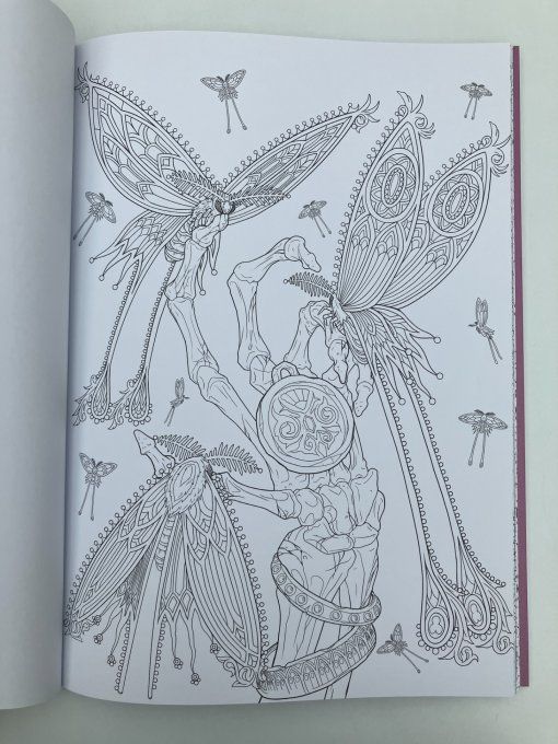 Gothica. Livre de coloriages mystérieux