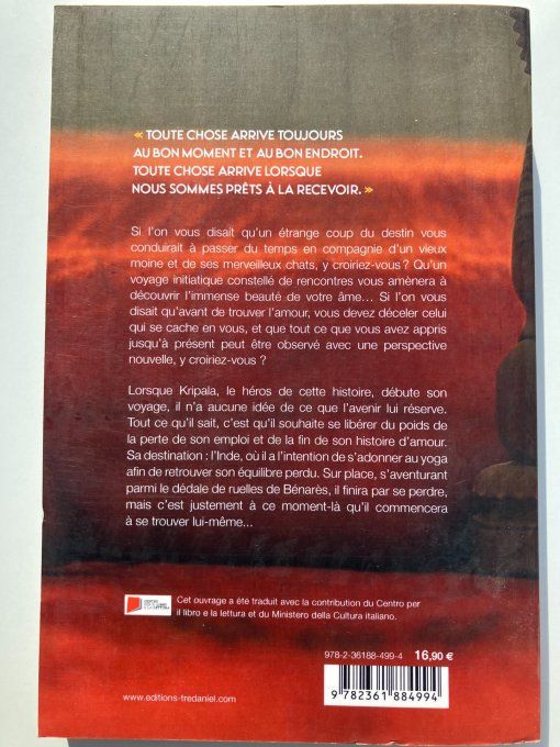 Le moine qui aimait les chats