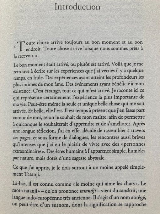 Le moine qui aimait les chats