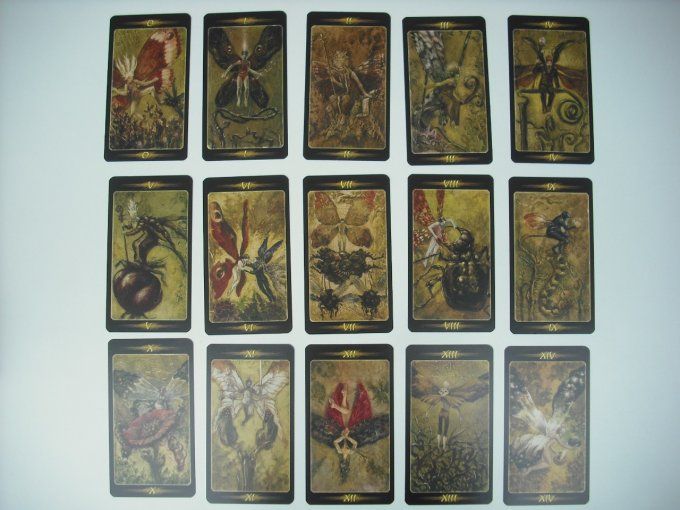 Tarot du bois secret