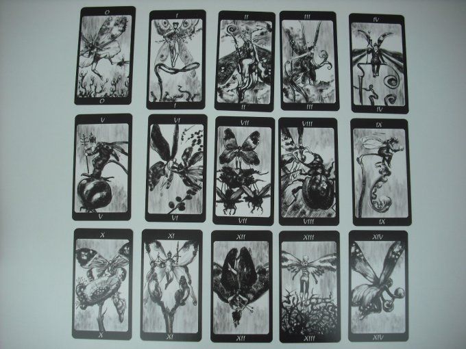 Tarot du bois secret