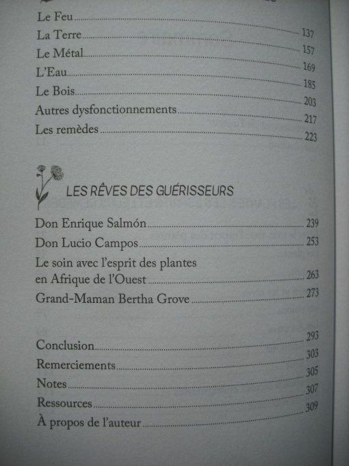 Soigner avec l'Esprit des plantes. Une voie de guérison spirituelle