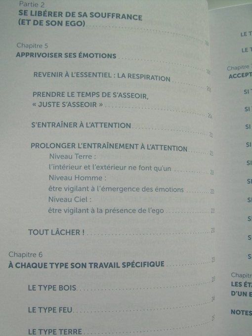 Emotions, souffrances, délivrance. Découvrez votre profil émotionnel selon la MTC
