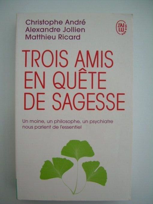 Trois amis en quête de sagesse